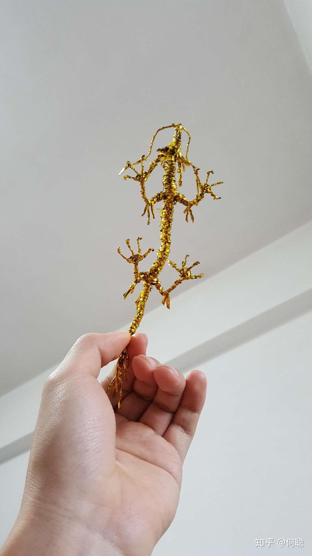 何聪铁丝动物园·中国龙 - 知乎