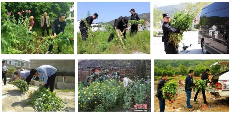 无人机行业应用 2 无人机查罂粟 知乎 无人机行业应用 2 无人机查罂粟 知乎