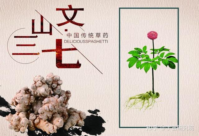 药食同源“三七”鲜为人知的功效：有助于备孕 - 知乎