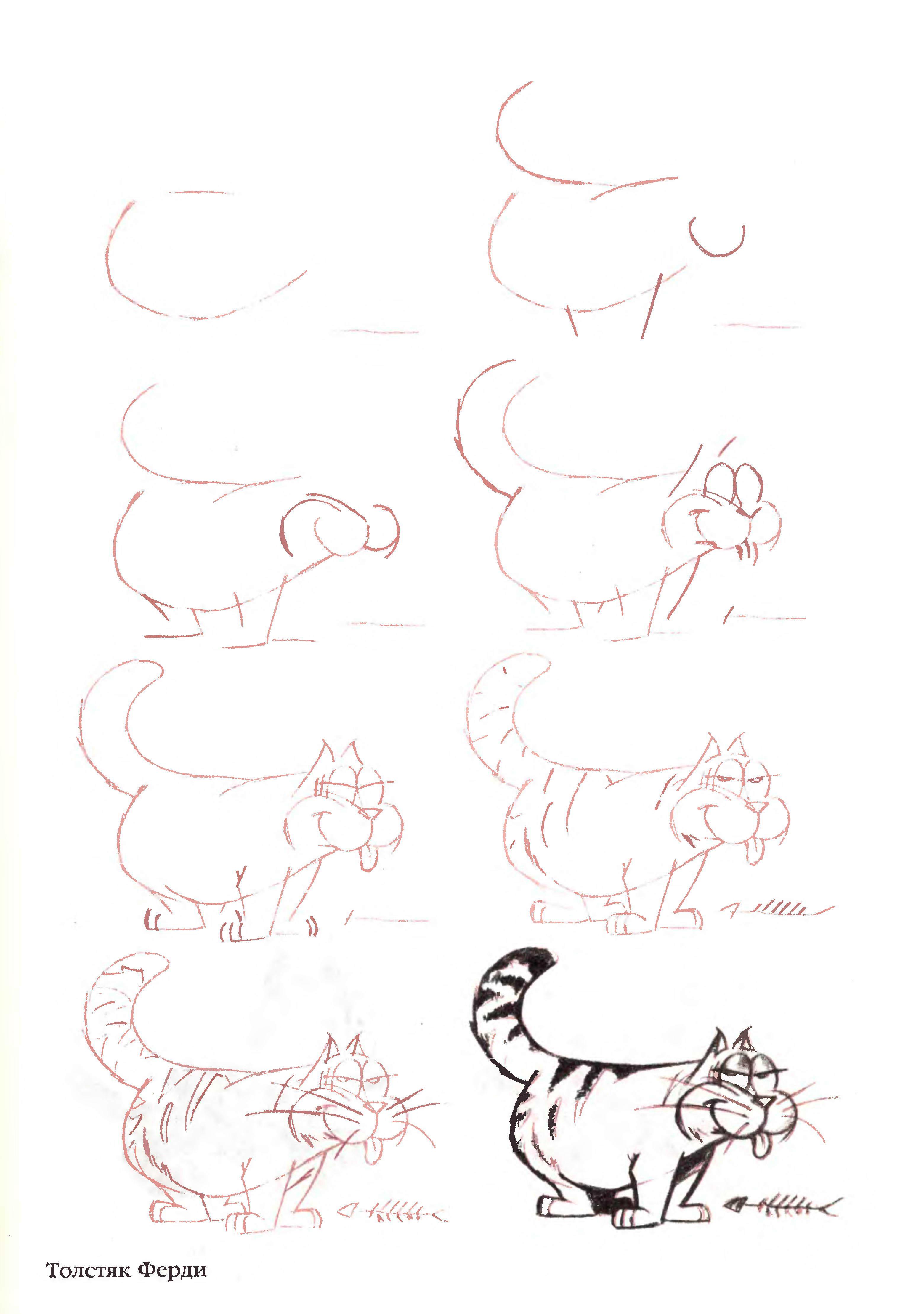 50个猫的画法，四步画出猫咪老师～ - 知乎