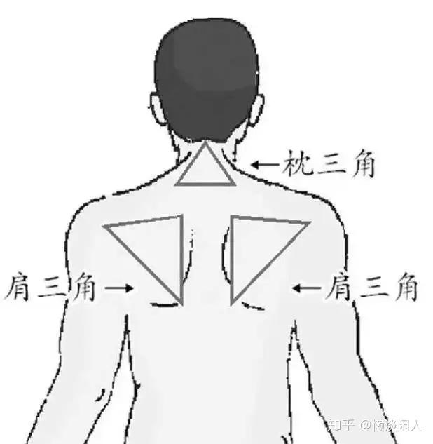 “人体”九个重点保护三角区,守住它们,等于关上疾病大门 - 知乎