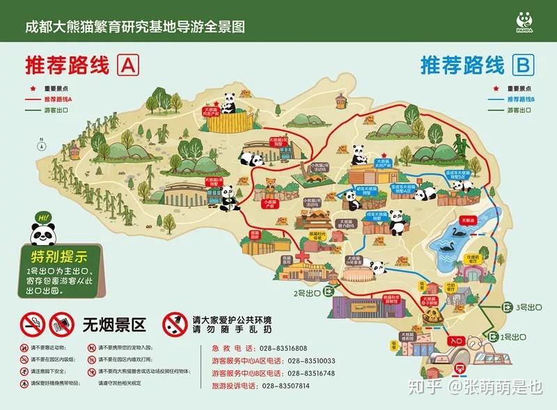 去成都怎能不看圆滚滚,超详细成都熊猫基地游览攻略(速度收藏)