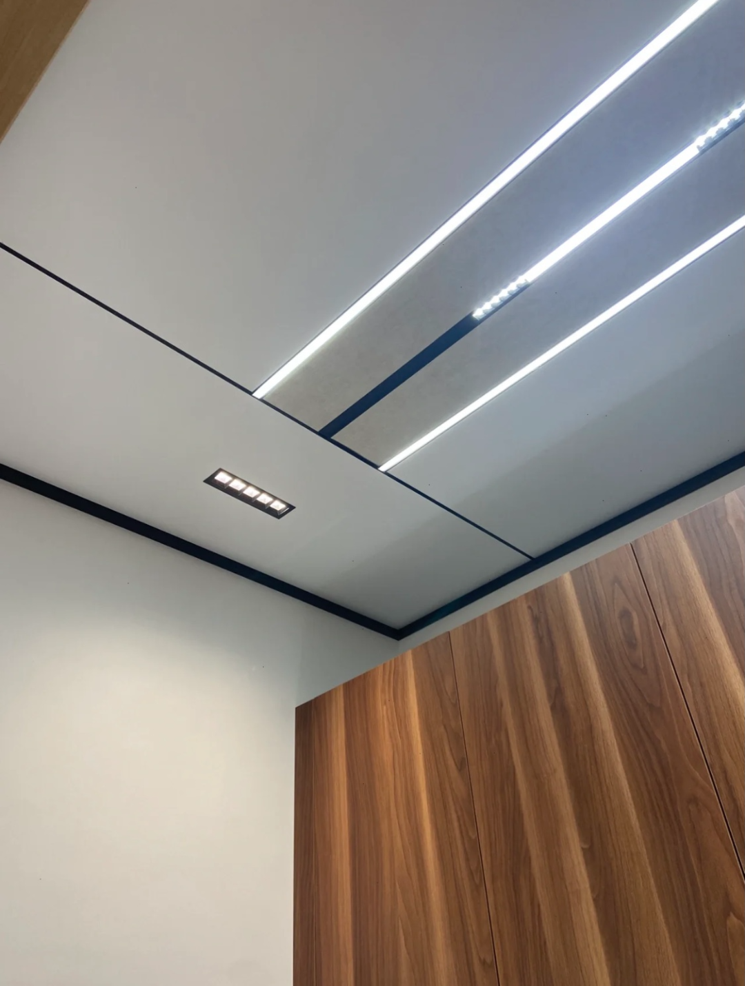 松下集成吊顶 小红书截图,图源见账号松下家的集成吊顶还蛮有名气的