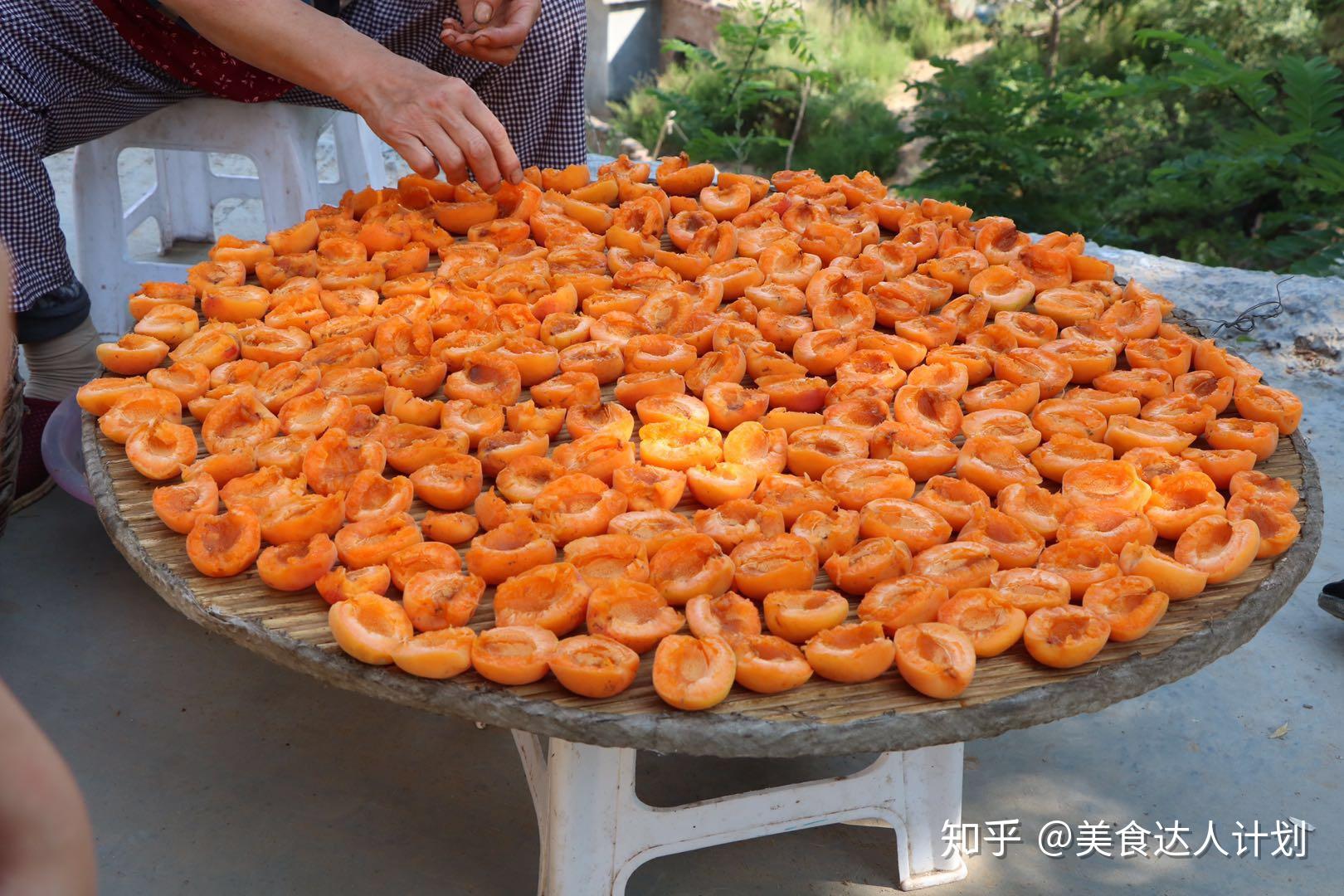 自制杏干，简单无添加，放一年都不坏，比买的健康又好吃 - 知乎