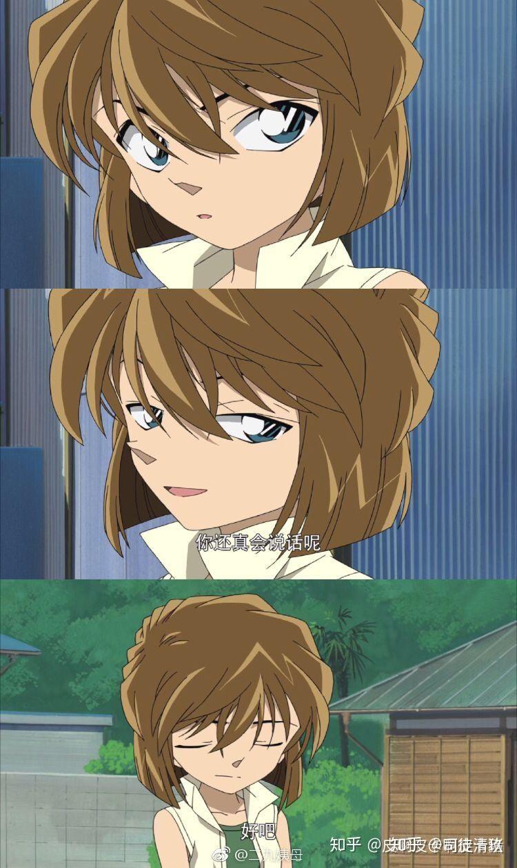 你的手机里有几张灰原哀的照片