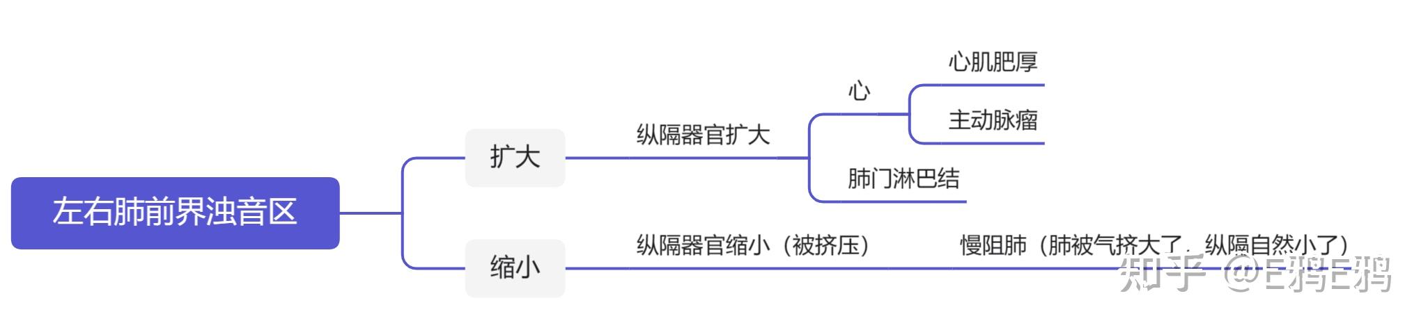 心脏浊音界叩诊画图图片