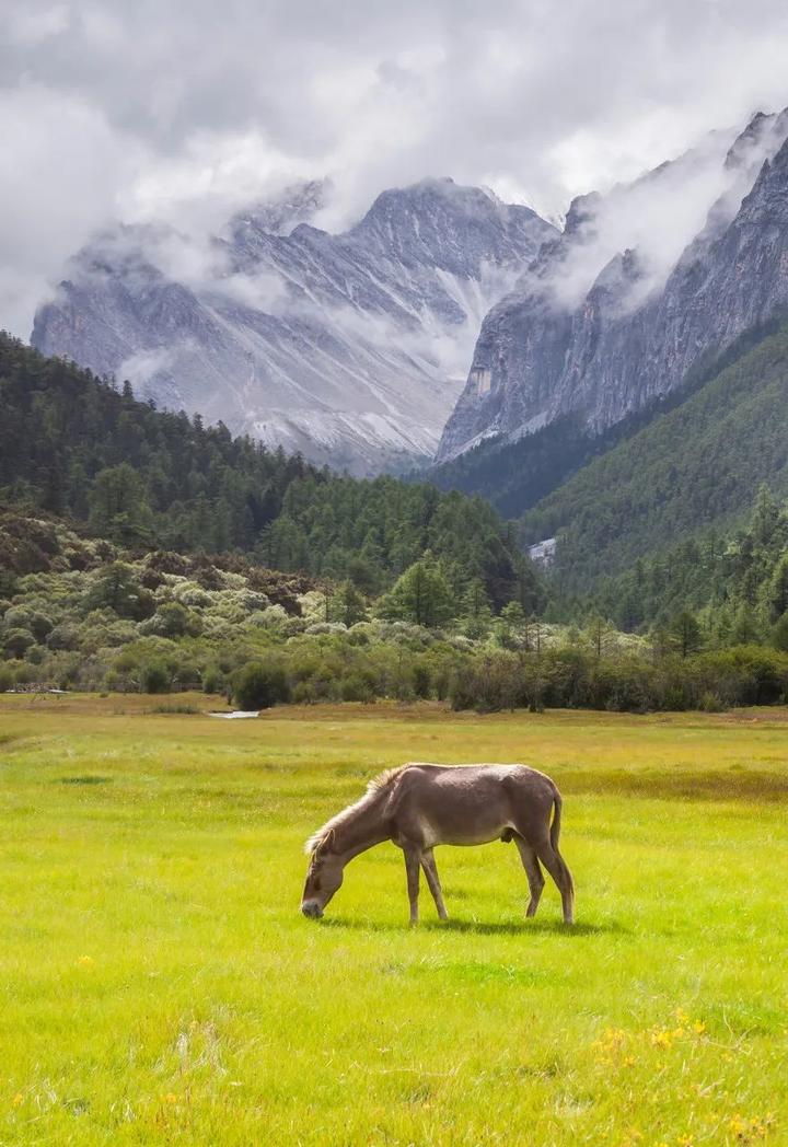 v2-0bbcb99e423d3d1eb13b9bfbcee753dd_720w