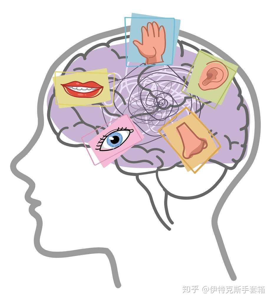 五感:无感? - 知乎