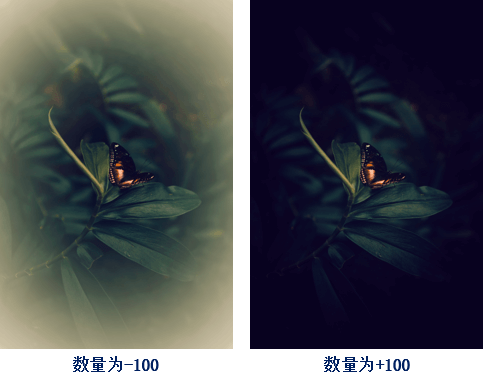 exposure调整工具之晕影照片