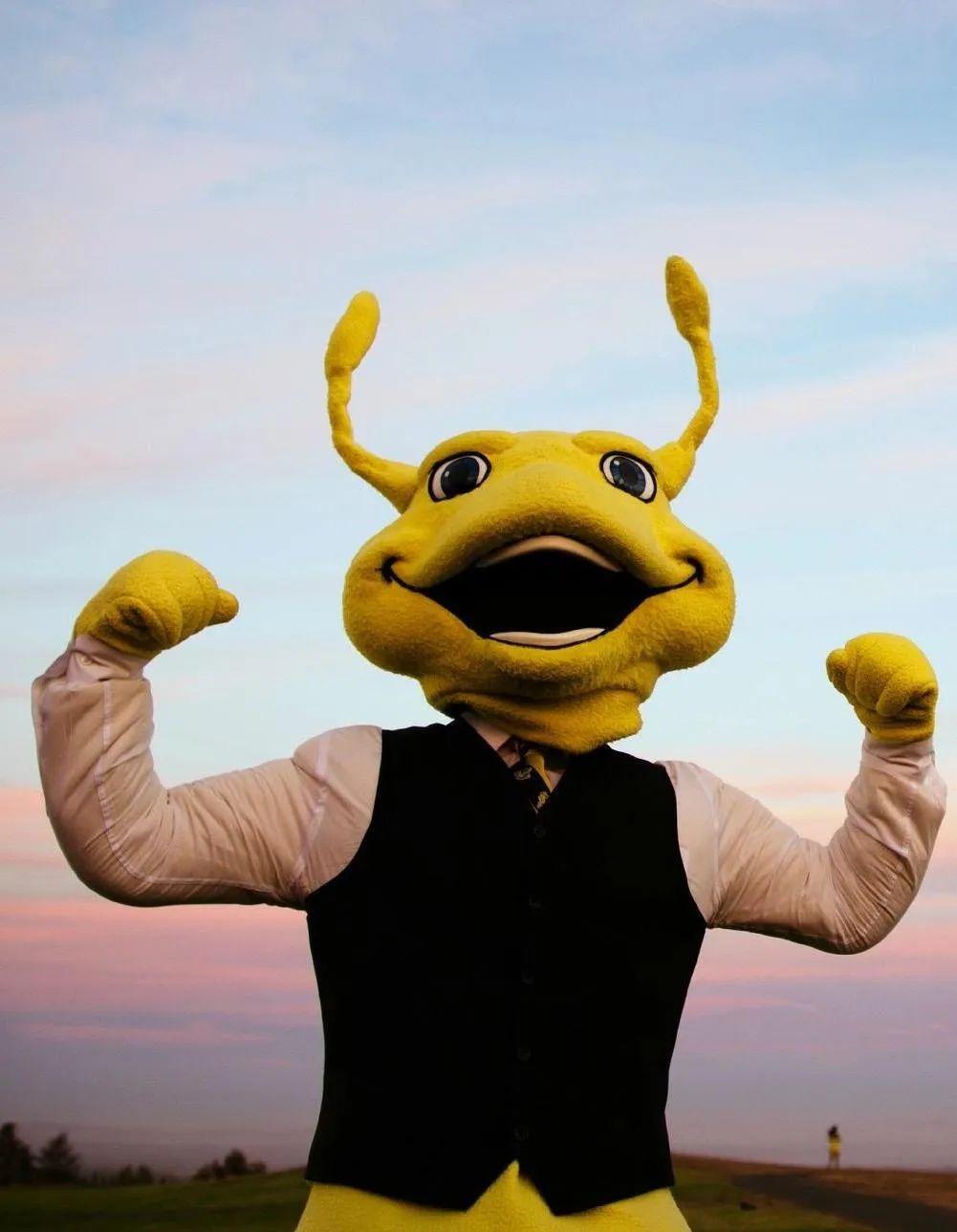 这些丑萌丑萌的东西居然是美国大学吉祥物