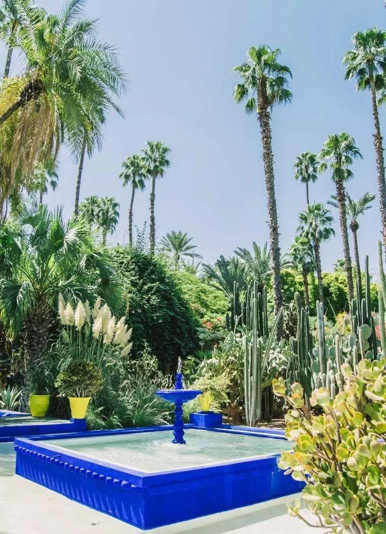 ysl创始人誓死守候的花园丨摩洛哥马约尔花园 jardin majorelle