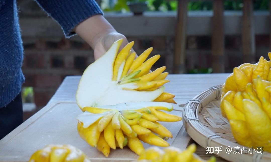 一席一果(二十二)——佛手柑:形似佛手,味美甘醇。既能止咳又能观赏的宝藏水果 - 知乎