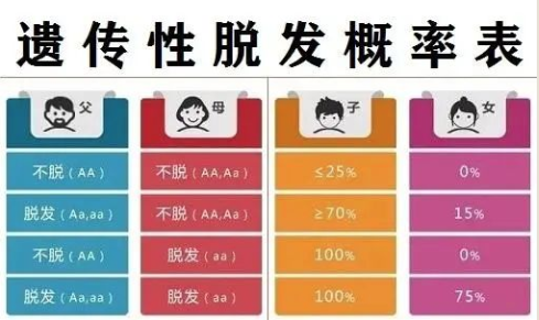 如果父母双方都存在脱发的现象,那么遗传性脱发的概率就会更大