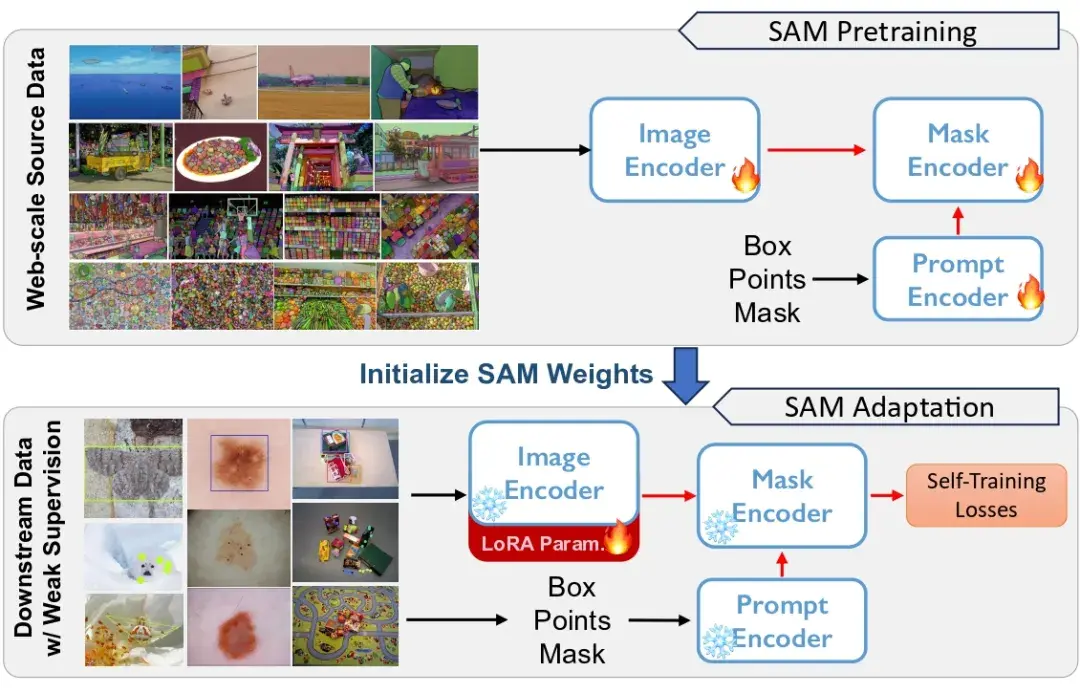CVPR 2024 | 分割一切模型SAM泛化能力差？域适应策略给解决了 - 知乎