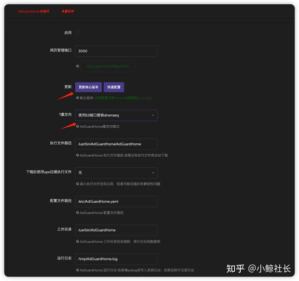 OpenWrt AdGuard Home DNS 