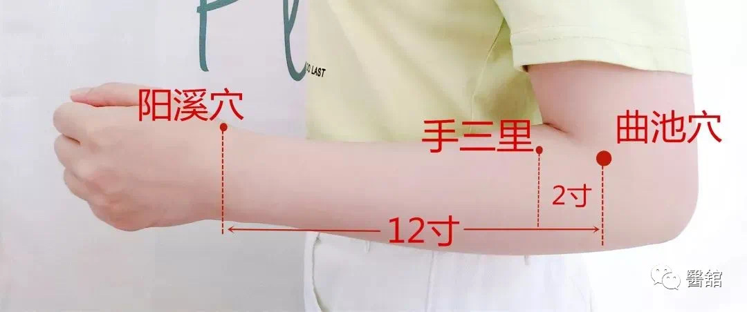 手阳明大肠经之手三里 - 知乎