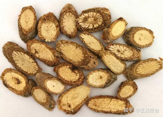 带你识别木通 - 知乎