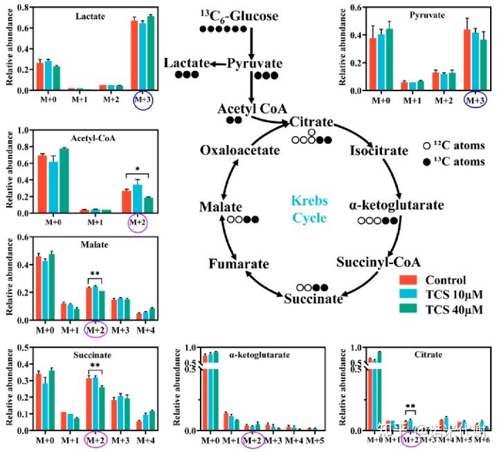 【全谱代谢组专题】文章精读解析LC-MS和GC-MS双平台联用如何成文 - 知乎