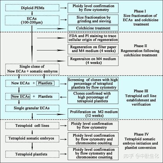 Frontiers In Plant Science Frontiers In Plant Science