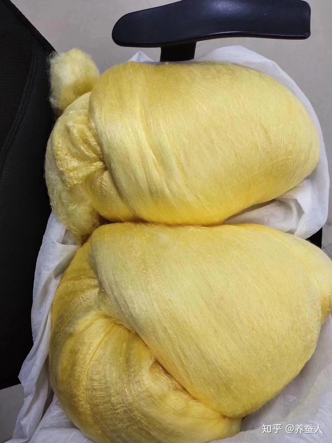 黄金蚕茧和黄金蚕丝是不是非常漂亮