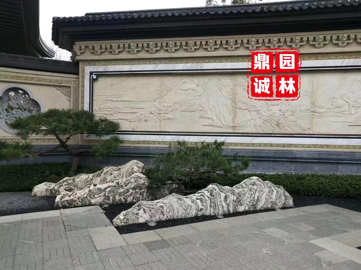 雪浪石:用一种与生俱来的大气磅礴,征服了所有园林人 - 知乎