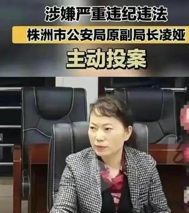 株洲凌娅背后有人,制造冤假错案并涉毒涉黑却能继续升官 - 知乎