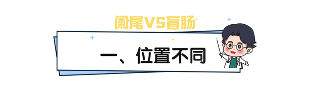 阑尾炎vs盲肠炎?5招教你轻松辨别