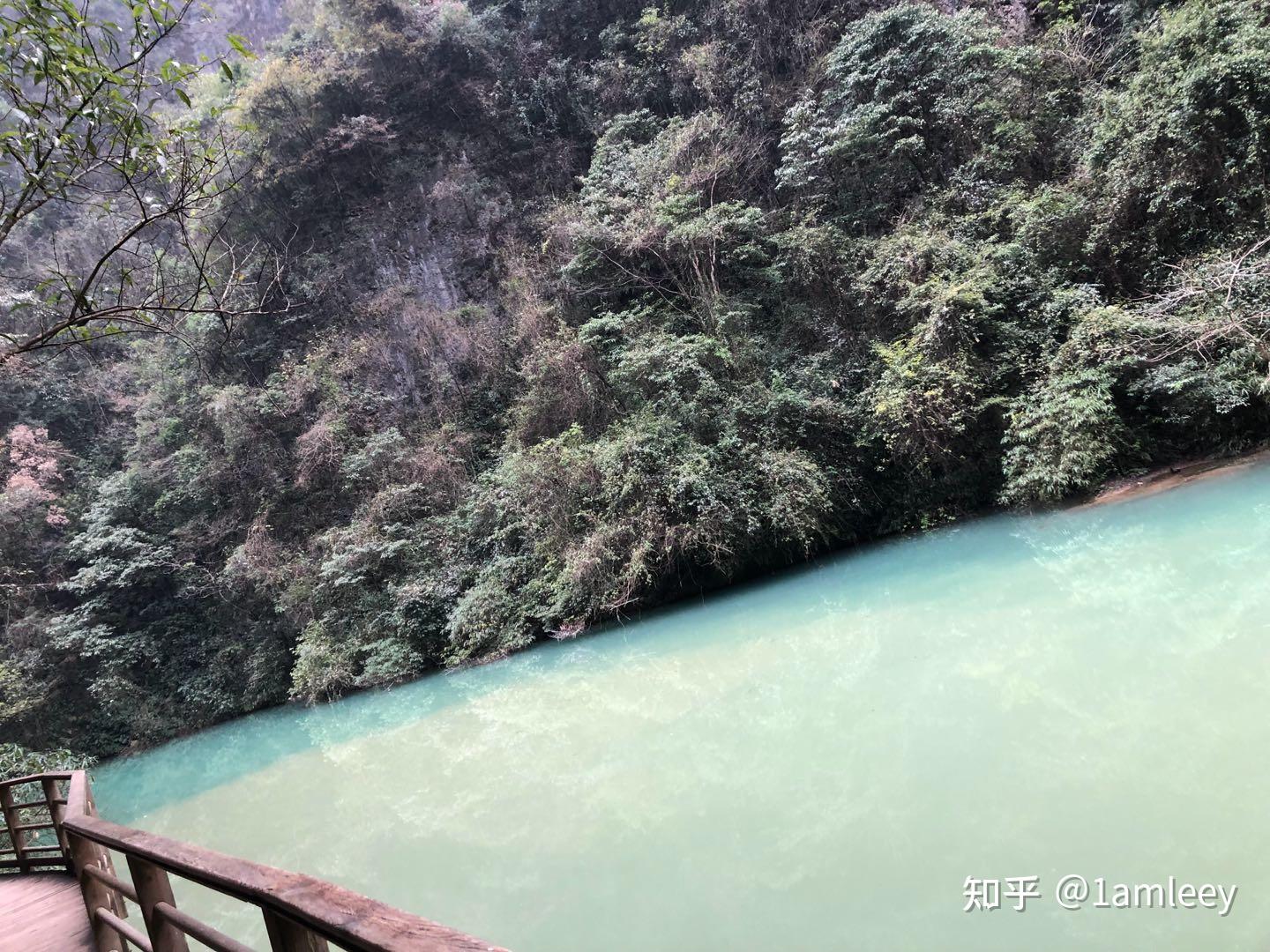 张家界旅游攻略干货，懒人看这里~ - 知乎