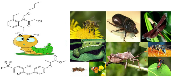 昆虫对杀虫剂的响应  知乎