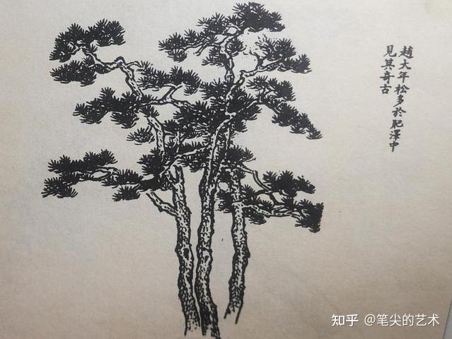 芥子园画谱画松针要针针劲健,紧中见松,或直或稍带弧形,要画出松针的