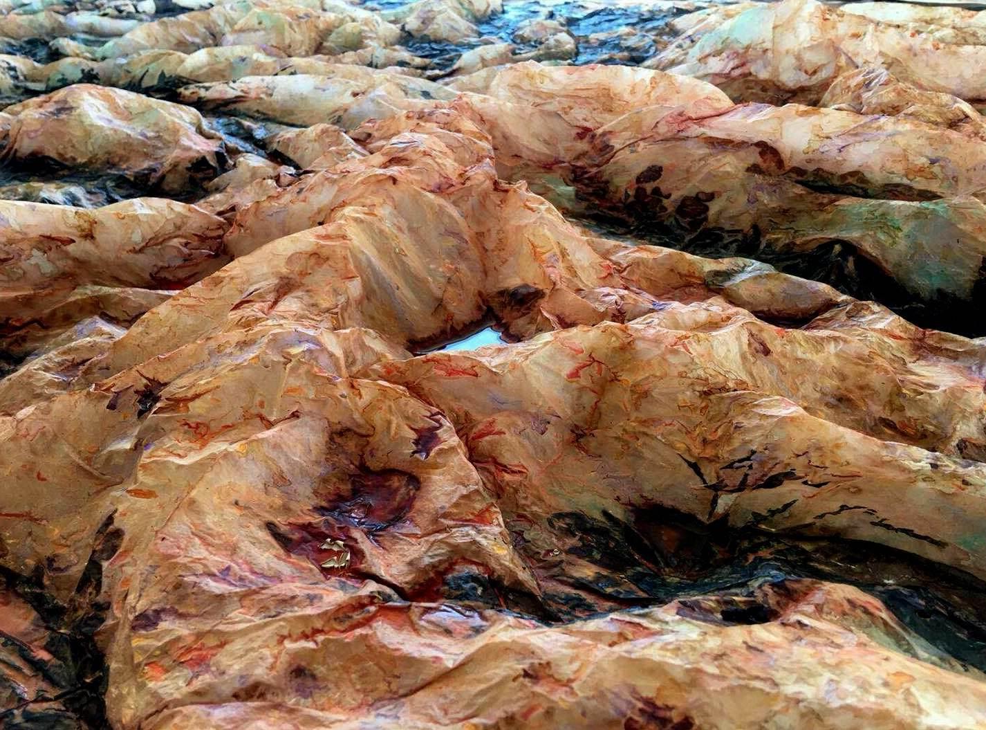 茶墨片山空 - 知乎