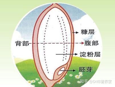 v2-0c78d6b1118915937e39e6aeb224c09b_b.jpg
