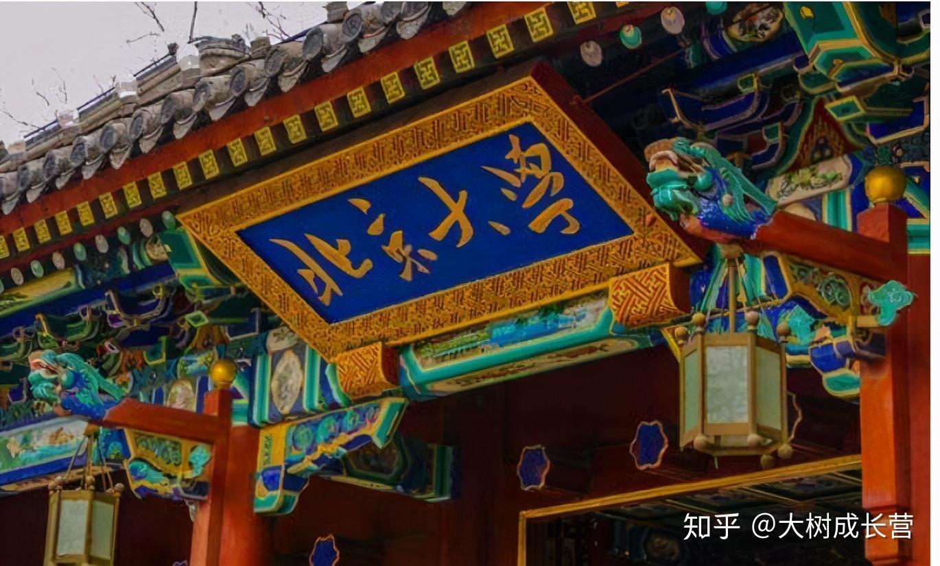 考古是冷门北大考古女孩钟芳蓉带火招生组别小看了挖土