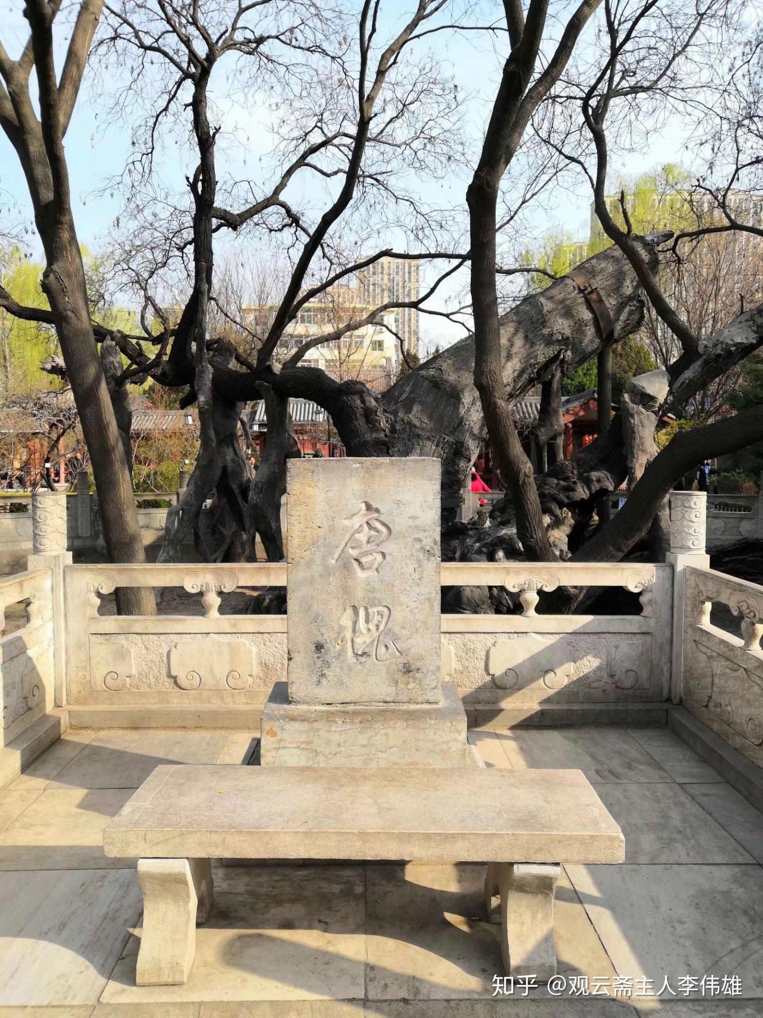 太原唐槐公园狄公故里