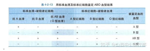 抗a抗b血型测试结果图图片