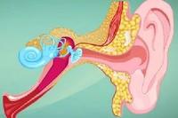 咽鼓管异常开放是怎样的疾病