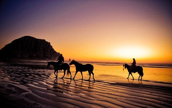 为什么逆光拍摄容易出优秀摄影作品一文知全部