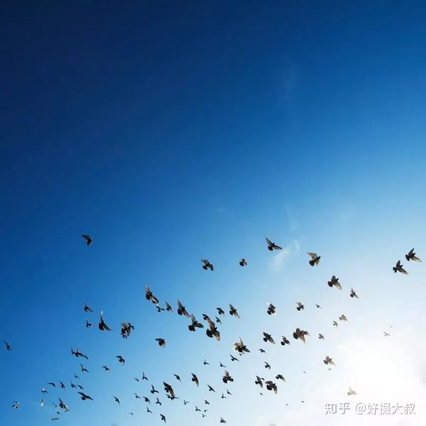 手机的连拍模式,你真的会用吗?