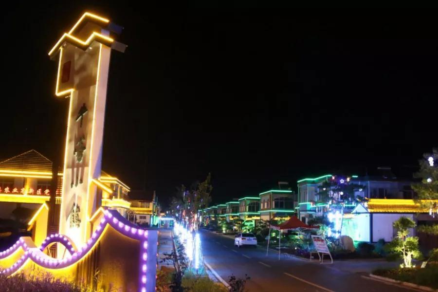 范楼镇平安志愿者分会为民办实事