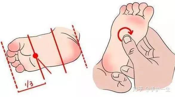 位置:足掌心前1/3與後2/3交界處的凹陷中.手法:用拇指指端或螺紋面揉.