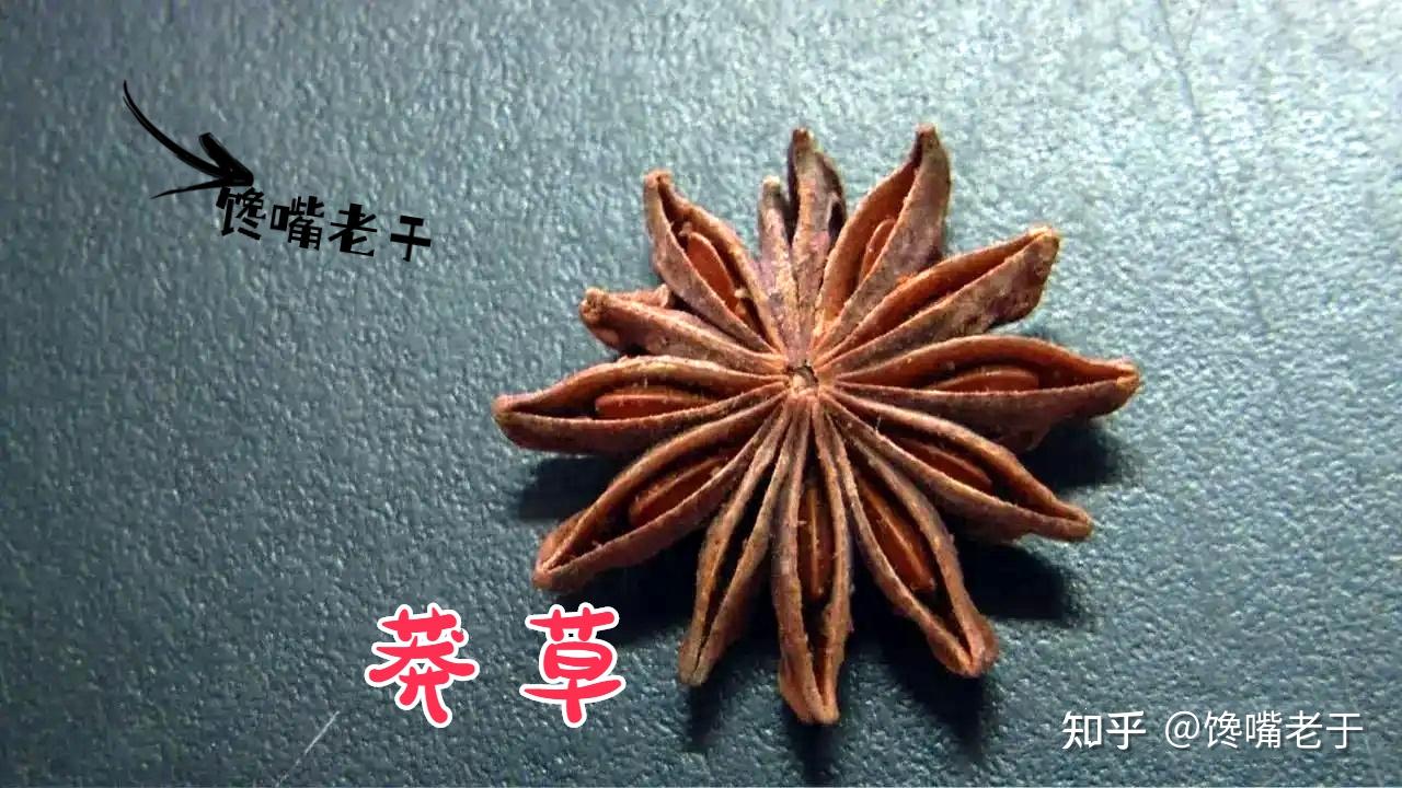 真八角和假八角有何不同?