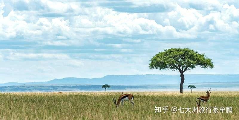 肯尼亞位於東非高地,屬熱帶草原氣候和熱帶季風區,無四季交替.