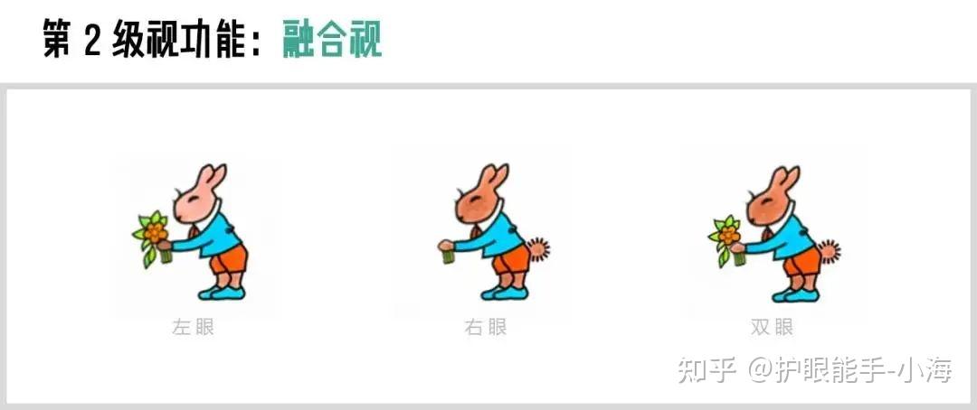 同时视功能训练是通过分视眼镜让每只眼看到各自的图象,利用闪烁刺激