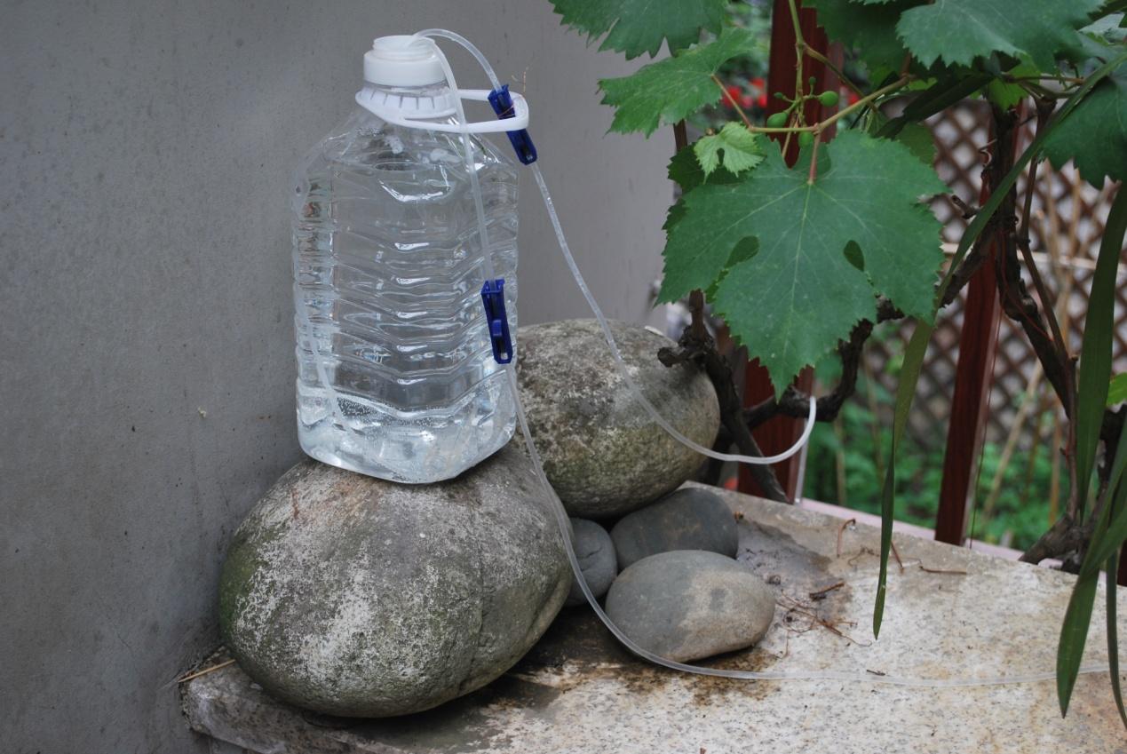 自制浇花滴水器图片