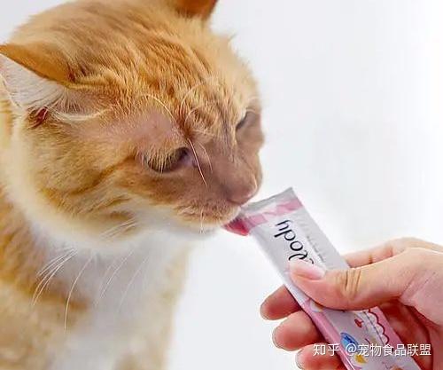 一篇文章让你认识猫粮中的“网红”产品--猫条 - 知乎