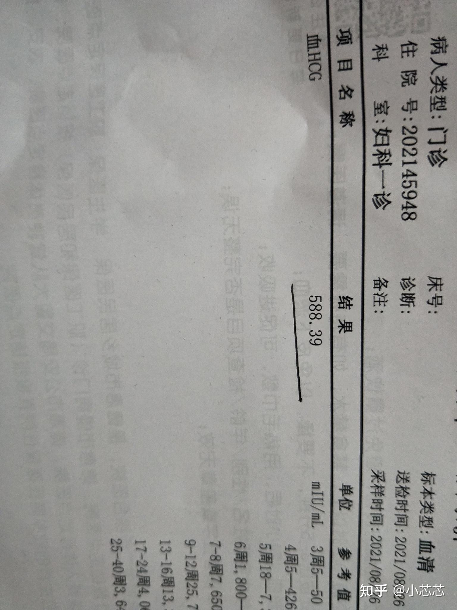 初期怀孕验血报告图片_39健康网_精编内容