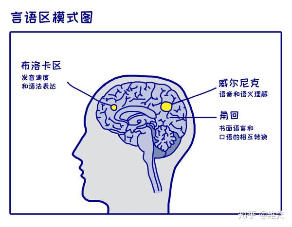 游戏人学习笔记 普通心理学 知乎