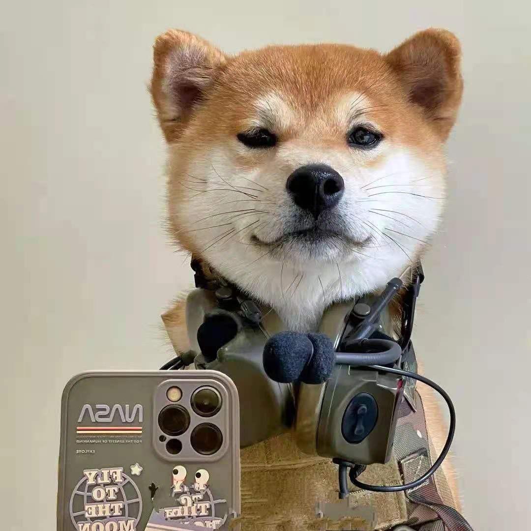 很多
