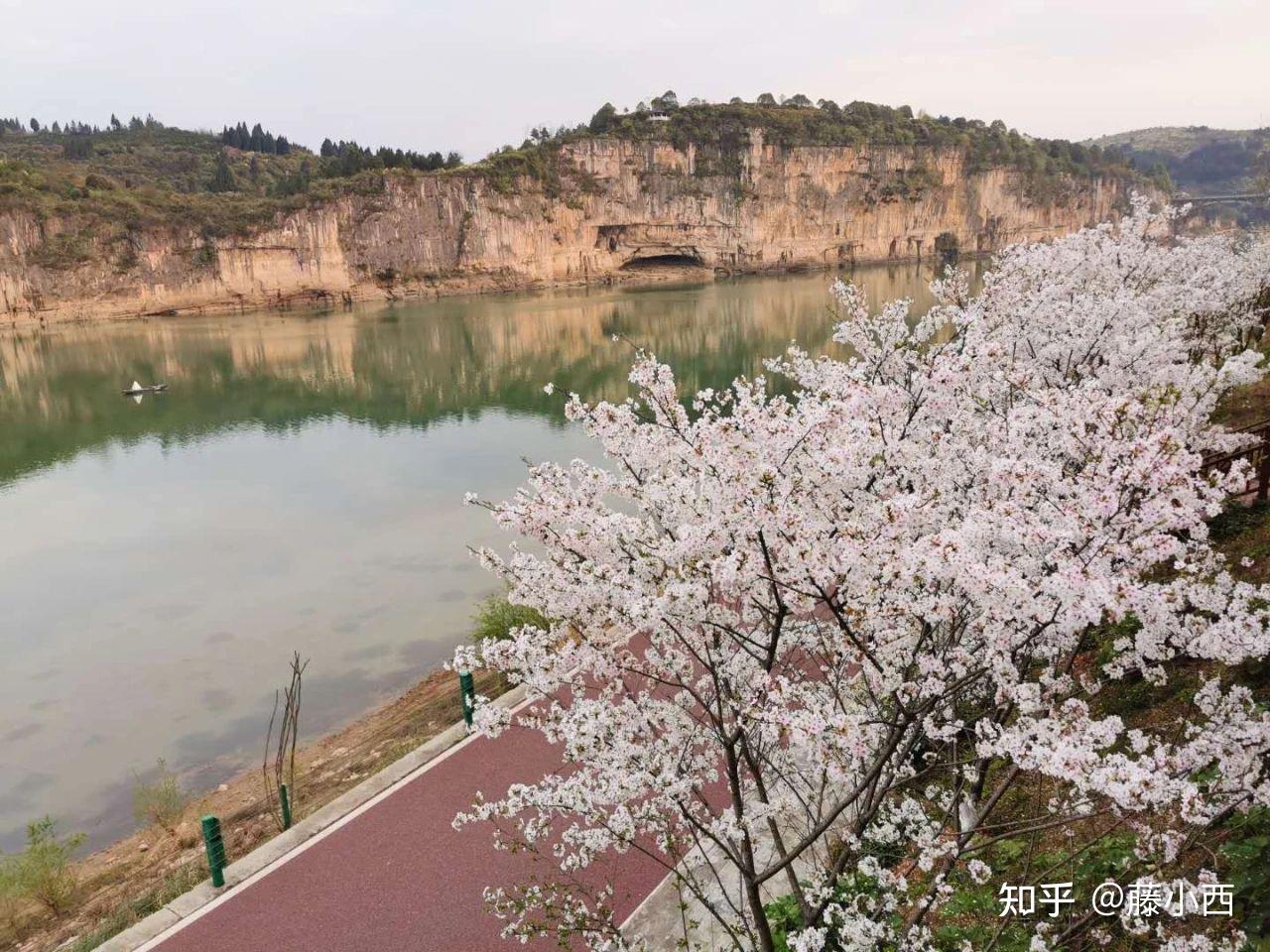 中国最年轻的氧吧之城——泸溪白沙