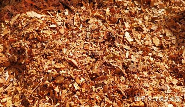 史上最全的烟丝分类,你知道吗? - 知乎